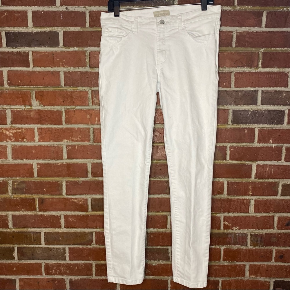 Banana Republic Skinny Fit Jean Size 10